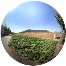 Chongsanri Cooperative Farm, DPRK 360°