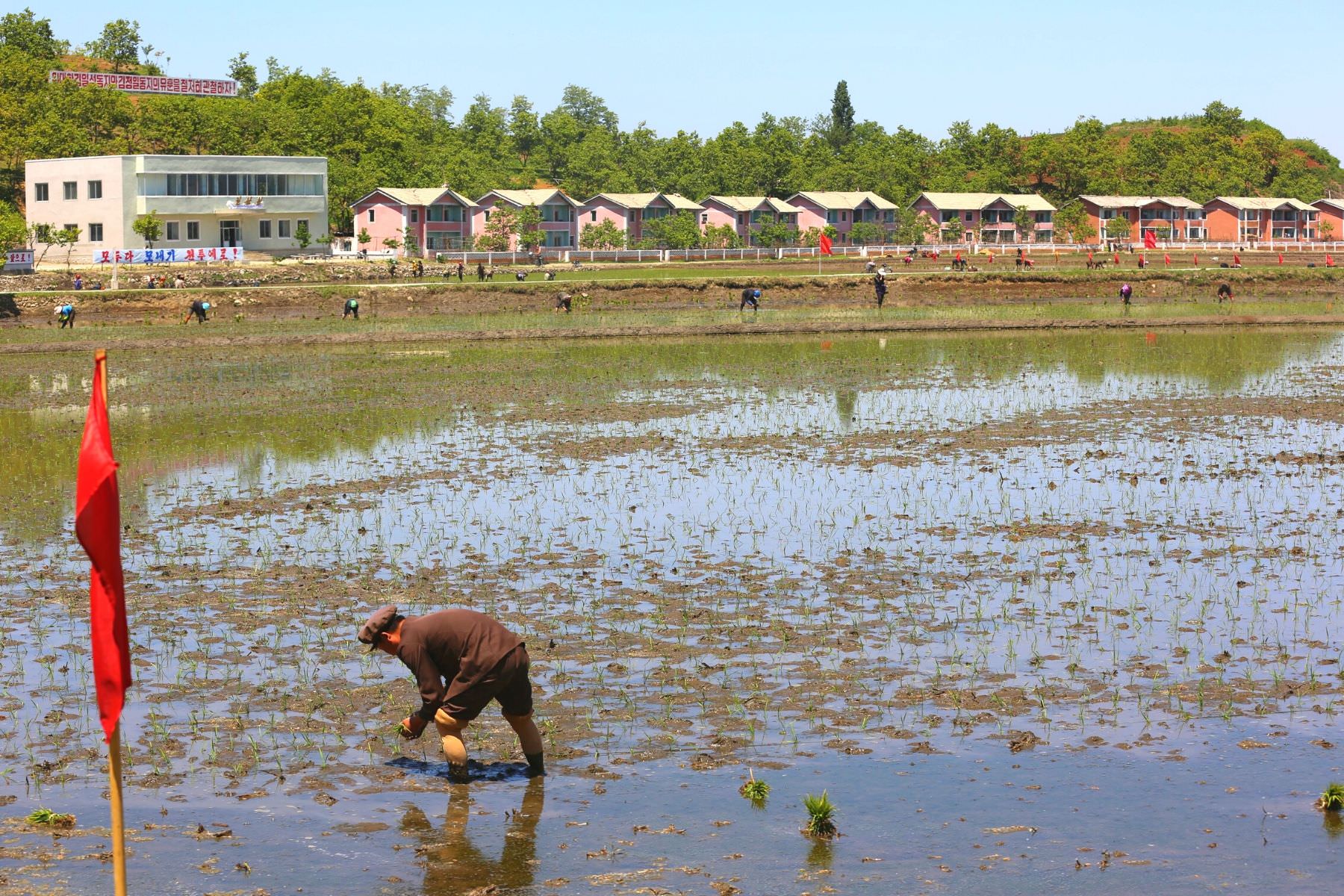 Chonsam cooperative farm in Wonsan, North Korea (DPRK) with KTG Tours