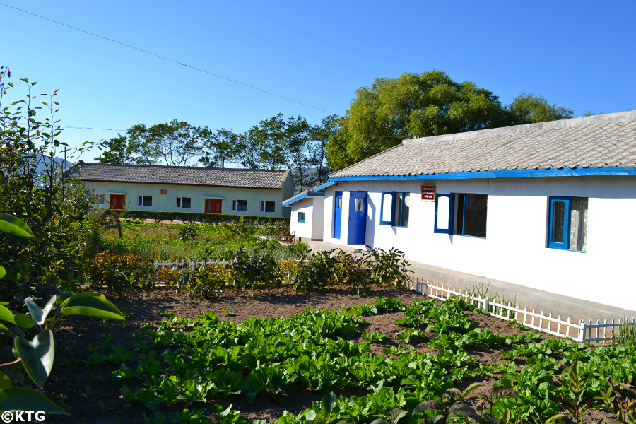 Ferme à Rajin à Rason, une zone économique spéciale en Corée du Nord, RPDC. Visitez cet endroit unique avec KTG Tours