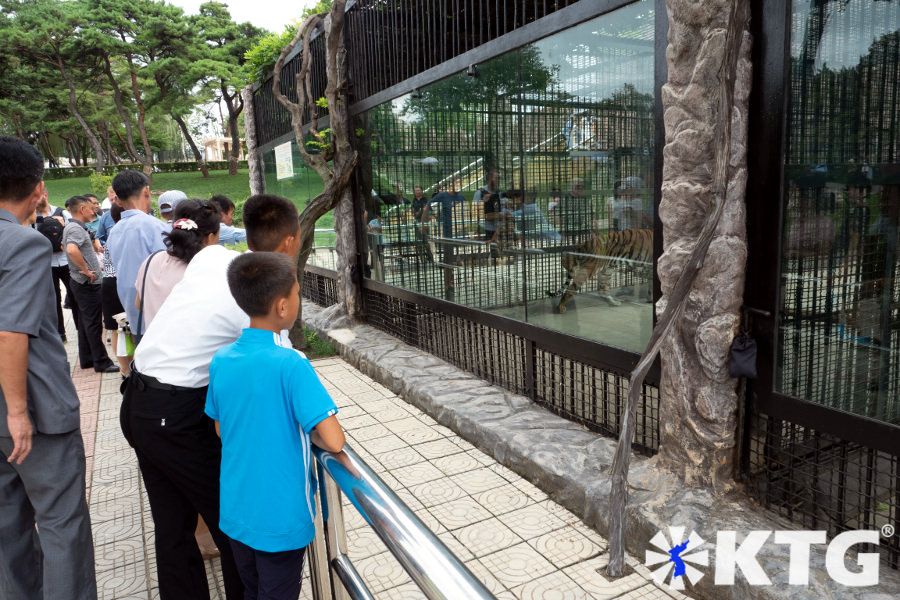 Nordkoreaner betrachten Tiger im Zoo von Pjöngjang. Der Korea Zentral-Zoo hat über 760 Tierarten. Bild aufgenommen von KTG Tours