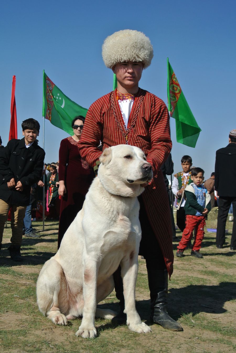 Albai Dog, Turkmenistan