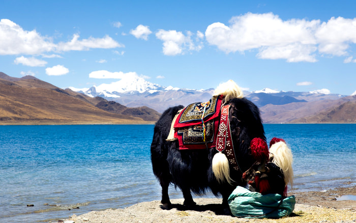 Lago Yamdroktso en el Tibet, China